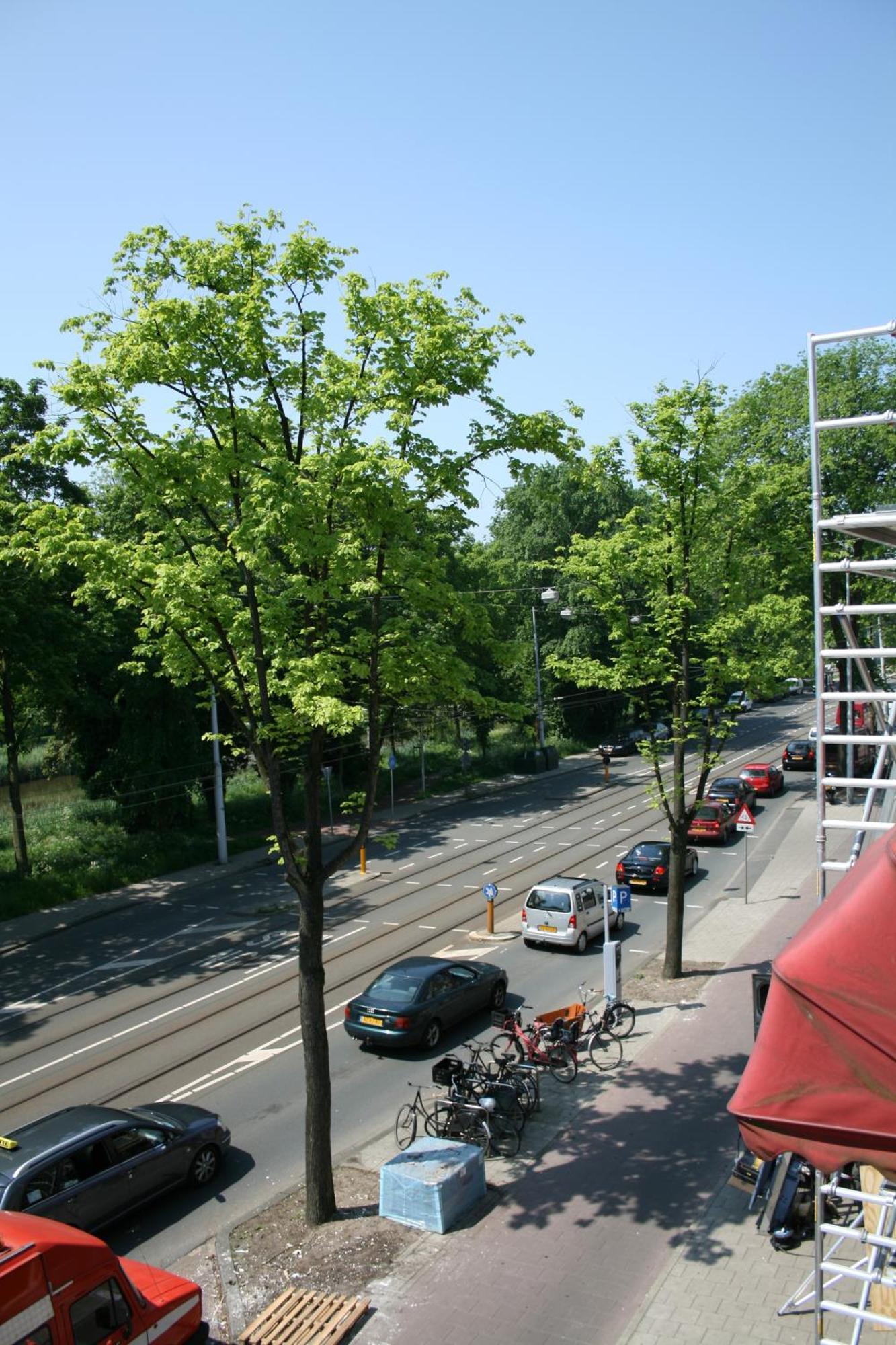 אמסטרדם Frankendael Apartments מראה חיצוני תמונה